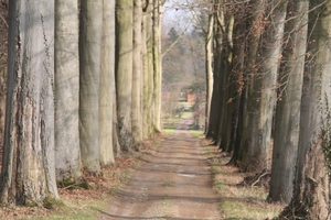 Winterwandeling Blok 9 22 februari 2015 026