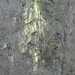 Bourscheid-Plage - fluo rotsen