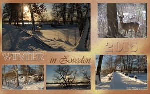 Winter in Zweden met foto's ke Gustafsson