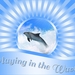 Playing Dolphin, template met dolfijn in de golven.