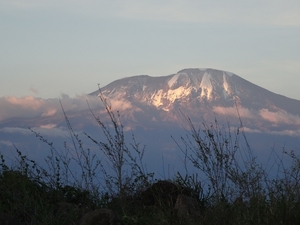 1d Kilimanjaro, lodge _DSC00009