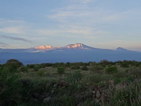 1d Kilimanjaro, lodge _DSC00010