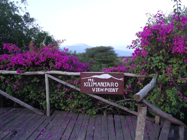1d Kilimanjaro, lodge _DSC00015