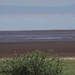 3c Lake Manyara NP _DSC00161