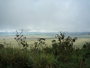 4c Ngorongoro NP,afdaling _P1210457