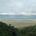 4c Ngorongoro NP,afdaling _P1210466
