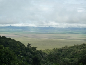 4c Ngorongoro NP,afdaling _P1210466