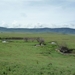 4d Ngorongoro krater  _P1210484
