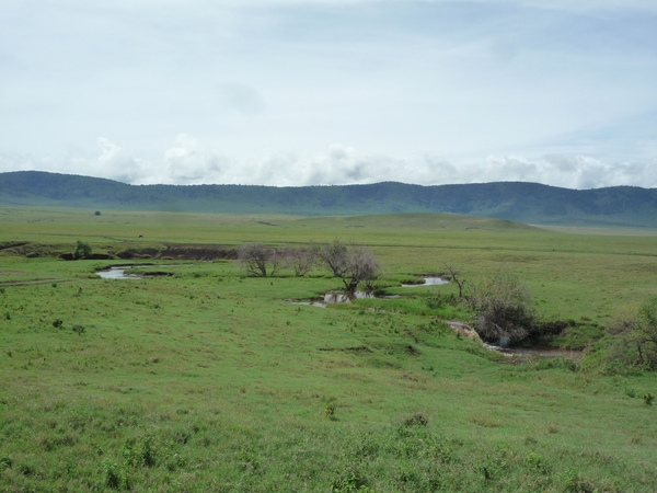 4d Ngorongoro krater  _P1210484