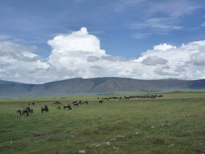 4d Ngorongoro krater  _P1210495
