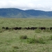 4d Ngorongoro krater _DSC00165