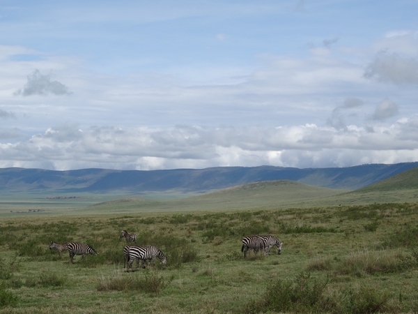 4d Ngorongoro krater _DSC00167