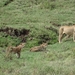 4d Ngorongoro krater _DSC00175