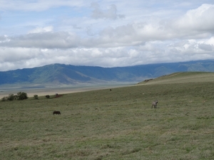 4d Ngorongoro krater _DSC00187