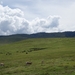 4d Ngorongoro krater _DSC00190