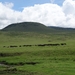 4d Ngorongoro krater _DSC00192