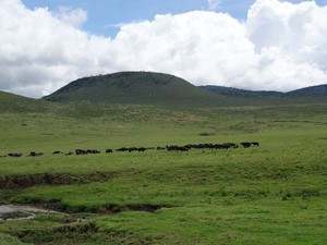 4d Ngorongoro krater _DSC00192