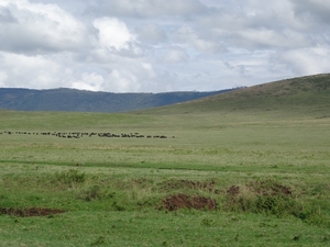 4d Ngorongoro krater _DSC00194