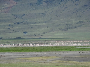 4d Ngorongoro krater _DSC00209
