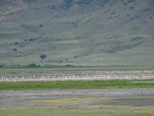 4d Ngorongoro krater _DSC00209