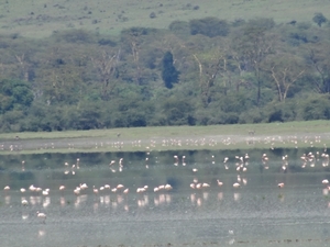 4d Ngorongoro krater _DSC00210