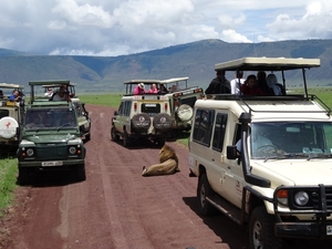 4d Ngorongoro krater _DSC00218