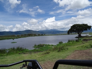 4d Ngorongoro krater _DSC00233