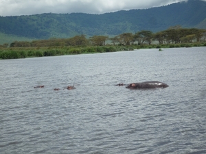 4d Ngorongoro krater _DSC00241_P1210520