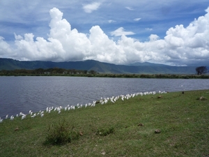 4d Ngorongoro krater _DSC00241_P1210521