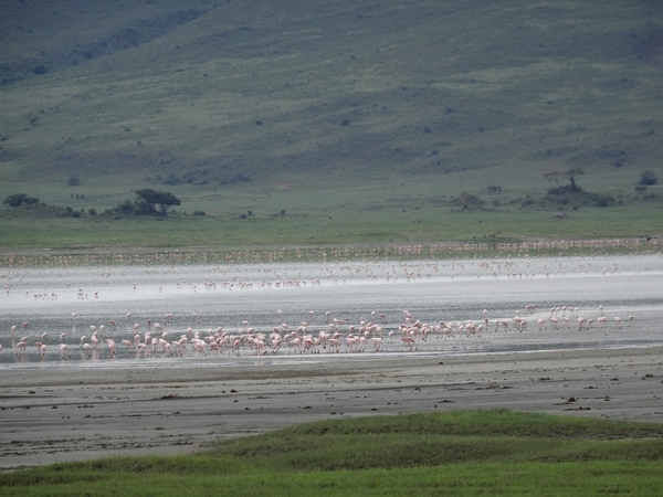 4d Ngorongoro krater _DSC00246