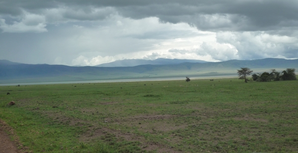 4d Ngorongoro krater _P1210529
