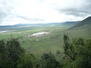 4e Ngorongoro krater, uitgang _P1210543