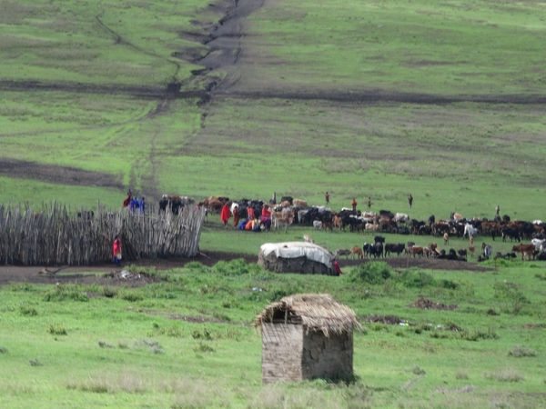 5b Ngorongoro omg, Masai land _DSC00271