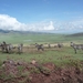 5b Ngorongoro omg, Masai land _P1210576