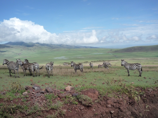 5b Ngorongoro omg, Masai land _P1210576
