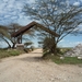 5c Serengeti toegang _P1210581