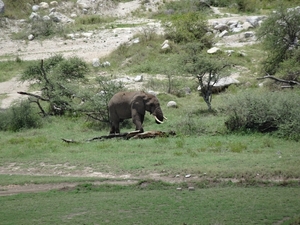 5d Serengeti, picknickplaats, _DSC00288