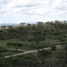 5d Serengeti, picknickplaats, _DSC00290