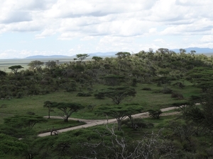 5d Serengeti, picknickplaats, _DSC00290