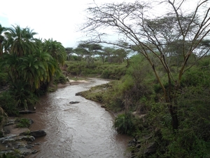 5h Serengeti, rivier, _P1210605