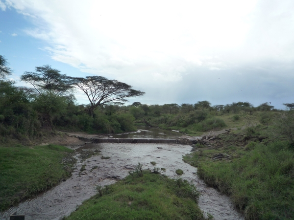5h Serengeti, rivier, _P1210606