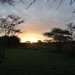 5i Serengeti, tentenkamp _DSC00337