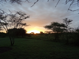 5i Serengeti, tentenkamp _DSC00337
