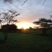 5i Serengeti, tentenkamp _DSC00338