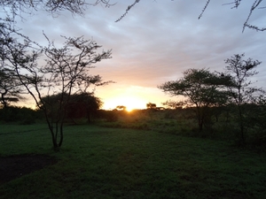 5i Serengeti, tentenkamp _DSC00338