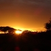5i Serengeti, tentenkamp _DSC00340