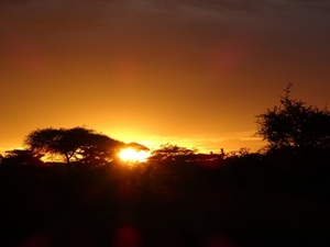 5i Serengeti, tentenkamp _DSC00340