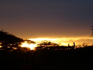 5i Serengeti, tentenkamp _DSC00344