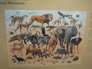5m Serengeti, populatie overzicht, _P1210634