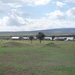6a Serengeti --) Arusha _P1210669
